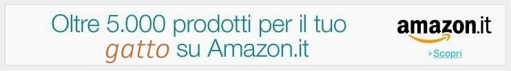 amazon gatto
