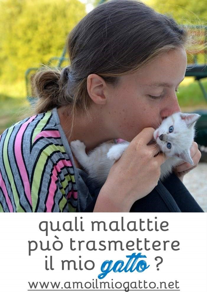 quali malattie trasmette il gatto a noi umani