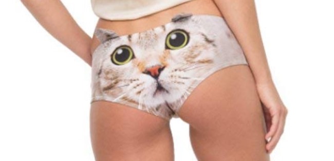 regali gattosi